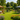 How Long Can a Garden Gazebo Last?