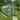 Polycarbonate Greenhouses